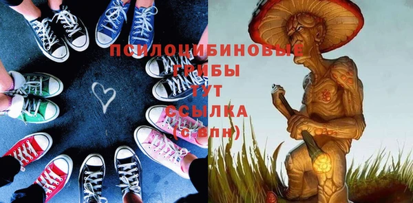 мяу мяу мука Горняк